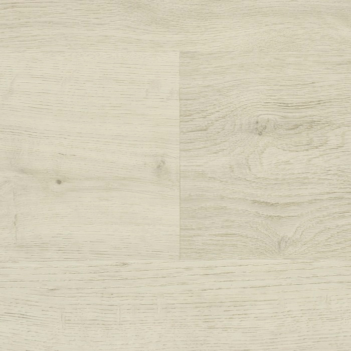 SPC-PRIME GRADE LOOK BAROLO